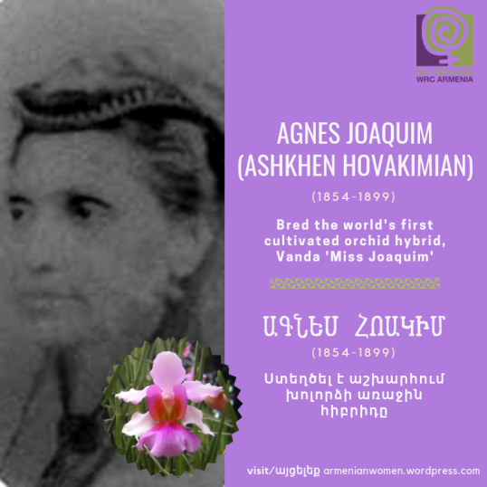 Armenian women until Diana Abgar (6).png